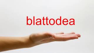 How to Pronounce blattodea  American English [upl. by Pentha770]