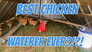 Premier 1 Suspended Dome Drinker  ￼The BEST Chicken Waterer EVER [upl. by Lati]