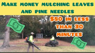 Make 80 in 30 minutes mulching leaves and pine needles lawncaremillionaire lawncarevlog mulching [upl. by Rimhsak950]