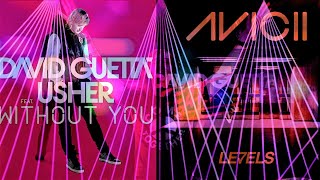 David Guetta amp Usher vs Avicii  Without You vs Levels David Guetta Mashup [upl. by Haroppiz]