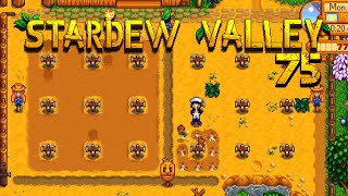 STARDEW VALLEY 075  Frühling 2 Saat hoch drei [upl. by Nabatse]