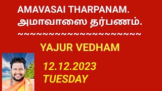 Amavasai Tharpanam Yajur vedham12122023 TUESDAY யஜுர்வேத அமாவாசை தர்ப்பணம் [upl. by Merritt]