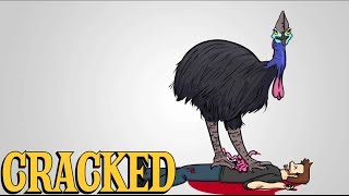 Why the Cassowary Is the Most Terrifying Animal Ever [upl. by Anilek]