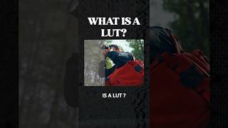 What Is A LUT [upl. by Sartin756]