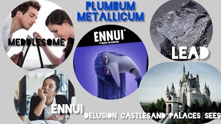 PLUMBUM METALLICUM RUBRICS STUDY DRUG PICTURE DR JYOTIKA KAPOOR LEADMEDICINE STUDY [upl. by Refennej]