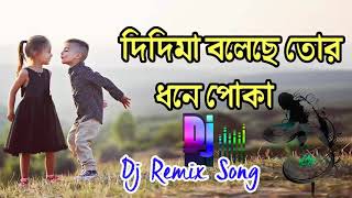 DJ didima boleche tor dhone poka bengali dj song [upl. by Atims]