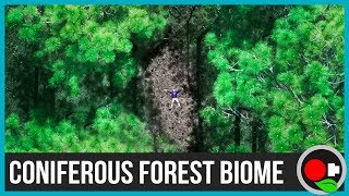 The Coniferous Forest Biome Explained [upl. by Hahcim]