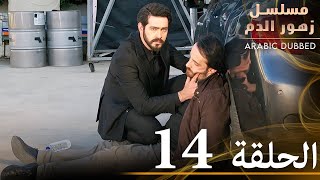 الحلقة 14  مسلسل زهور الدم  مدبلج بالعربية  Kan Çiçekleri [upl. by Wilkison]