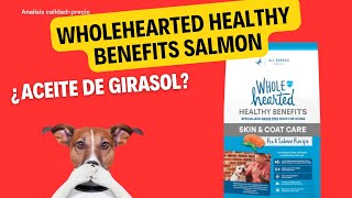 Análisis de alimento para perro WholeHearted Healthy Benefits Salmon [upl. by Ebby]