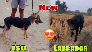 New dog li liya 😱 kya dono le liya  RitikDogKennel177 [upl. by Annairdna]