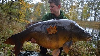 Karpfenangeln  Kapitale Karpfen im Herbst bei Kälte [upl. by Mcquade]