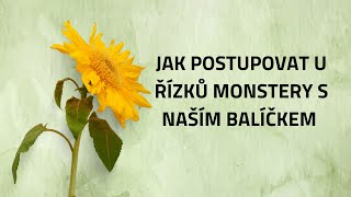 98 Jak postupovat u řízků monstery s naším balíčkem [upl. by Deb]