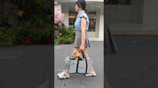 👜2024 Pet easy carry Bag shopify shorts pets cat dropshipping dropshippingagent ecommerce [upl. by Ecilahc]