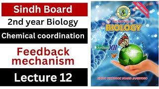 feedback mechanism  chemical coordination  class 12 biology  Sindh board New book [upl. by Leith]