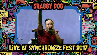 Shaggy Dog LIVE  Synchronize Fest 2017 [upl. by Sivrat49]