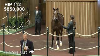 Hip 112 Medaglia d’Oro  Lotta Kim sells for 135 million at 2024 Keeneland September [upl. by Rammaj315]