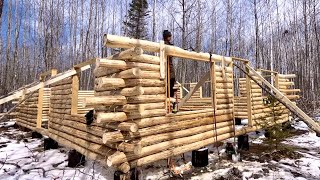 Building A Big Log Cabin Alone In The Woods Notching Heavy Logs Around Windows [upl. by Alisha]