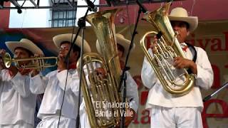 Banda de Viento estilo Sinaloa  El Sinaloense El Niño Perdido Novillo Despuntado y El Toro Palomo [upl. by Ylyl]