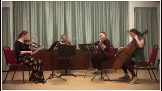 Orchard Cafe Quartet Concert Teaser  The Wellerman  Ae Romser  Miss Dumbreck [upl. by Bast]