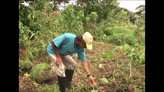 proyecto agroecologico 1productos amazonia el jardin de los sueños [upl. by Aisercal]