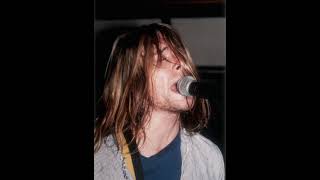 Nirvana  Scoff Remixed Live Circus Gammelsdorf DE 1989 November 17 [upl. by Suirtimid]