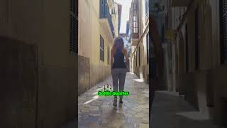 Unveil the Secrets of Barcelonas Gothic Quarter 🏰✨ youtubeshorts travel explore [upl. by Ardnyk745]