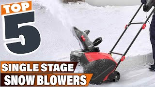 Winter MustHave 5 Best Single Stage Snow Blowers [upl. by Jarvis301]