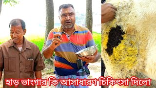 হাড় ভাংগা বাছুর কিভাবে ঠিক করলো তুহিন ভাই  জানতে ফুল ভিডিওটা দেখুন [upl. by Sucramal]