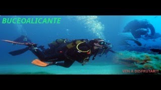 CHARLA  COLOQUIO BUCEO ALICANTE [upl. by Templeton]