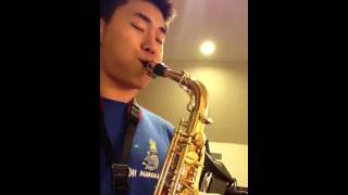 Final Fantasy IX Melodies of Life Alto Saxophone [upl. by Yehus]