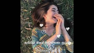 dilisi dilisi hada se sina siiදිලිදිසි දිලිසි හද සේ සිනා සීwhatsapp status video [upl. by Alleusnoc]