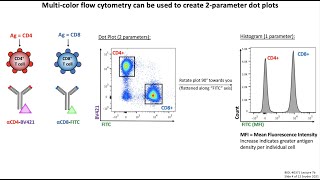 Lecture 7b Flow Cytometry [upl. by Nevil]