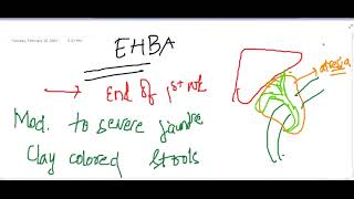 extrahepatic biliary atresia  Pediatrics [upl. by Aiak]