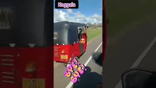 srilanka koggala trending Travelling [upl. by Adnarym]