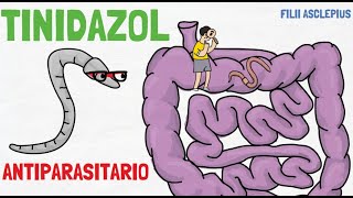 TINIDAZOL  PARA QUÉ SIRVE [upl. by Englebert918]