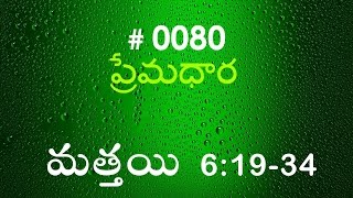 TTB Matthew మత్తయి సువార్త  61934 0080 Telugu Bible Study Premadhara [upl. by Coats290]