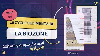 1BAC SE  Le cycle sédimentaire amp la biozone فهم مزيان [upl. by Ecirted123]