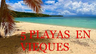 5 DE LAS MEJORES PLAYAS DE VIEQUES PUERTO RICO 🏖⛱🌊 🇵🇷 [upl. by Asatan]