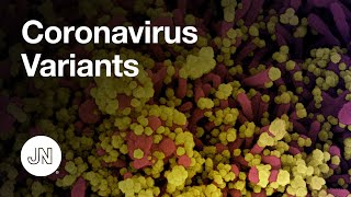 Coronavirus Variants [upl. by Adnot]