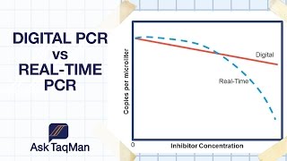 Digital PCR vs Realtime PCR  Ask TaqMan 30 [upl. by Alecia]