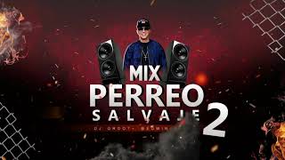 Mix Perreo Salvaje 2  OldSchool🔥 Mix Reggaeton Antiguo  DJGROOTEdwinAliaga [upl. by Yursa]