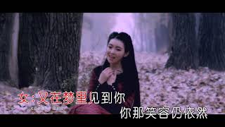 祁隆amp任妙音  又在夢裡見到你（高清1080P）KTV原版 [upl. by Keemahs]