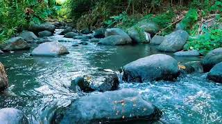 Relaxing birds amp water sounds nature river sounds for sleep meditation relaxation flowing water [upl. by Priebe732]