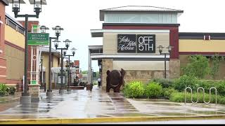 Chesterfield police arrest wrong man for shoplifting [upl. by Delaryd374]