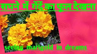 sapne me gende ka phool dekhnaसपने में गेंदें का फूल देखना Seeing marigold in dreams [upl. by Yseult750]