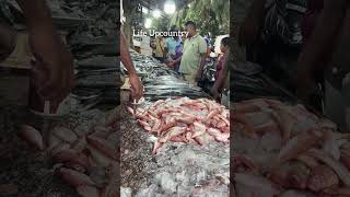 muttom palakkod fishlanding puthiyangadi [upl. by Yreneh]