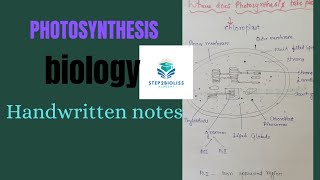 PHOTOSYNTHESIS l chloroplast structure l chlorophyll diagram neet [upl. by Jeanelle212]