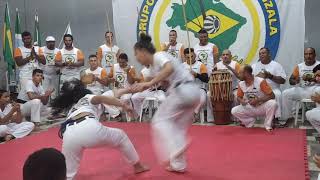 Campeonato de capoeira no 12° paranaiba ms [upl. by Acimak]