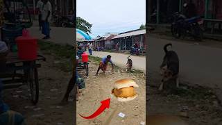 Dog vs Man Badha Pau 😂 funny duetreaction comedy [upl. by Tutto448]