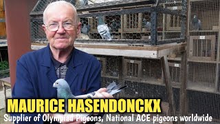 MAURICE HASENDONCKX  Supplier of Olympiad pigeons and Ace pigeons worldwide [upl. by Amein]